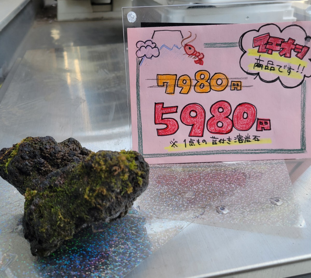 天然溶岩石コケ付き拍卖