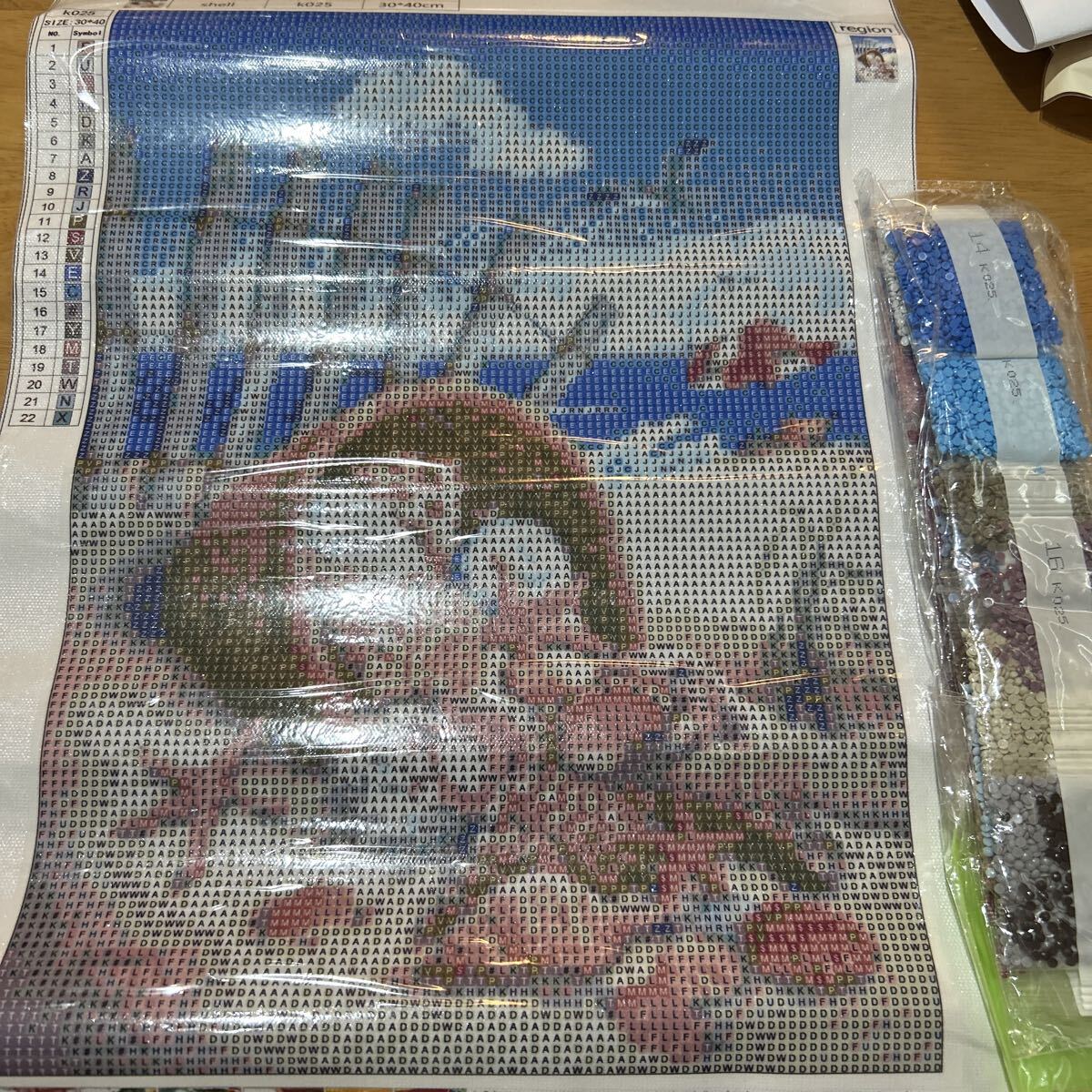 新品 ダイヤモンドアート 海 貝殻 30かける40拍卖