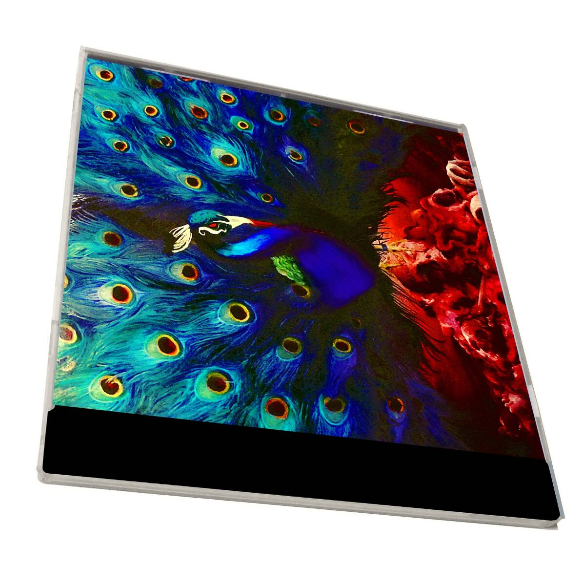 北欧プログレ プログレメタル(元デスメタル)Prog Swedish Progressive Metal Bloodbath Arch Enemy~OPETH Sorceressオーペス ソーサレス拍卖