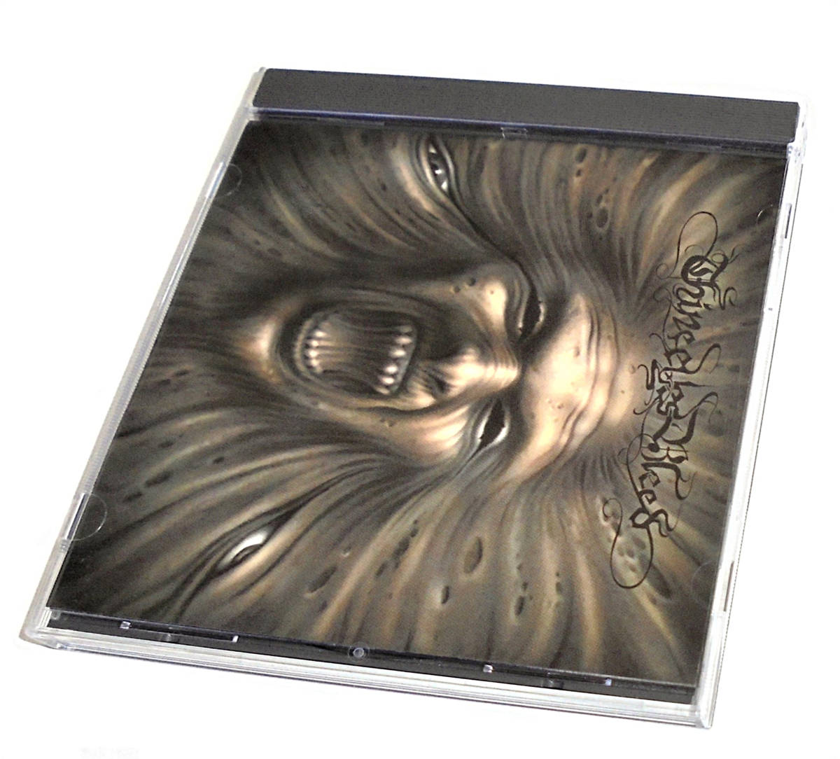 From Cephalic Carnage Slayer Death Metal Meshuggah Styleスレイヤー人脈デスメタル メロデスTHINE EYES BLEEDザイン アイズ ブリード拍卖