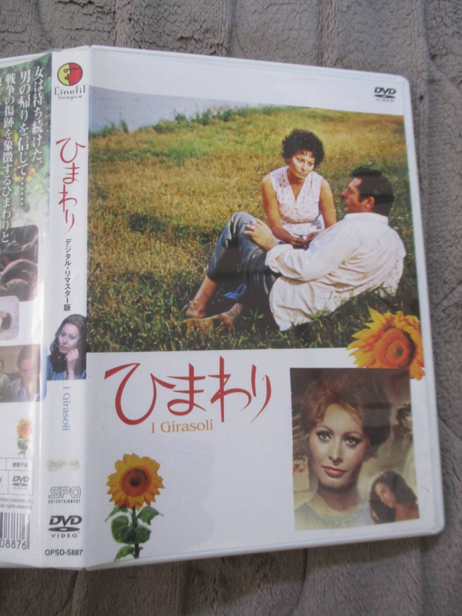 DVD ひまわり デジタル・リマスター版 ソフィア・ローレン拍卖