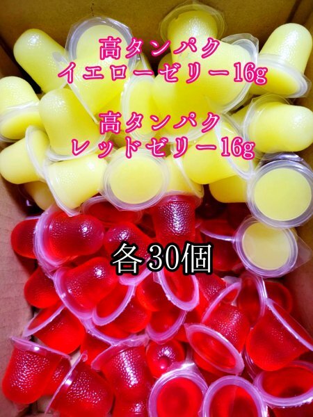 高タンパクイエローゼリー16g 高タンパクイレッドゼリー16g 各30個 クワガタ カブトムシ オオクワガタ フクロモモンガ クワカブ ー拍卖