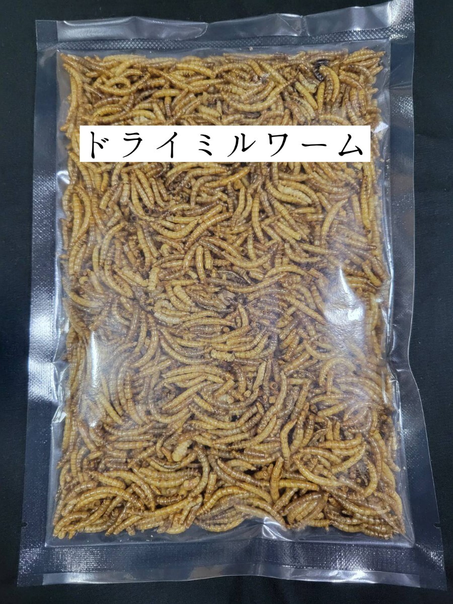 ドライミルワーム300g 小動物 爬虫類 ハムスター フクロモモンガ ハリネズミ トカゲ 鳥類 鶏 アクアリウム拍卖