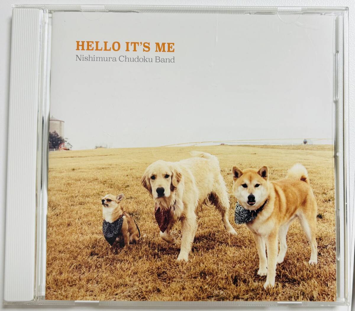 ★ ハローイッツミー / 西村中毒バンド 中古 CD 帯付 渚のベートーベンズ ラッキーオールドサン拍卖