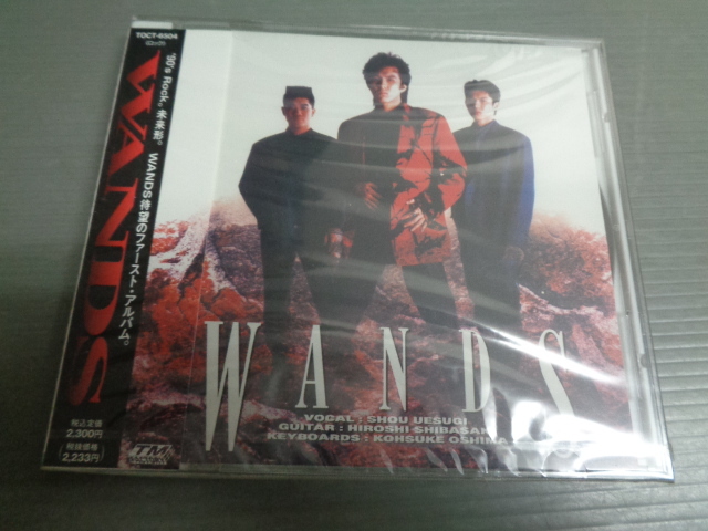 WANDS/ワンズ★未開封6曲入CD拍卖