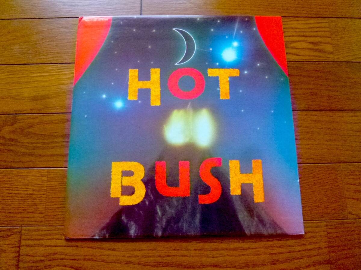 LP HOT BUSH / HOT BUSH拍卖