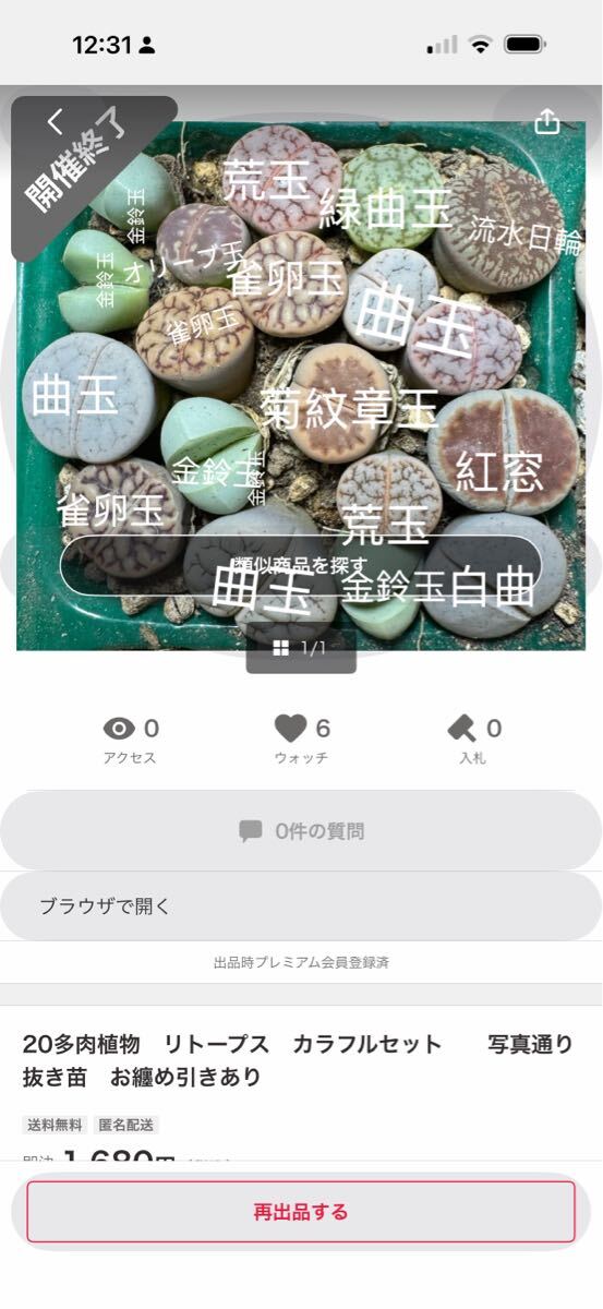 20多肉植物 リトープス カラフルセット 名前 大変申し訳ございませんでしたm(__)m拍卖