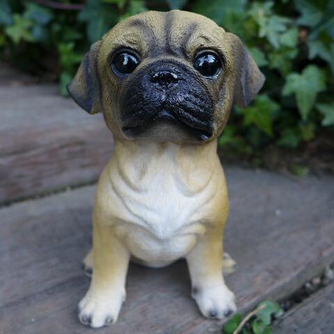 犬の置物 パグ いぬ イヌ 動物 9690H オーナメント ガーデン オブジェ 雑貨 ガーデニング インテリア 雑貨 マスコット拍卖