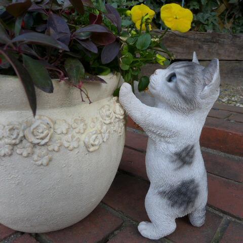 猫の置物 子猫立ポーズ 81QY キャット ガーデンオブジェ CAT 動物 オーナメント ネコ 雑貨 ガーデン オブジェ拍卖