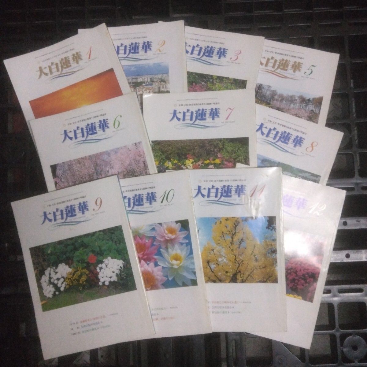 聖教新聞社 大白蓮華 2001年/平成13年 1-3、5-12月号 No.607~619 11冊セット 機関誌 池田大作 創価学会 仏教 宗教 古書/古本拍卖
