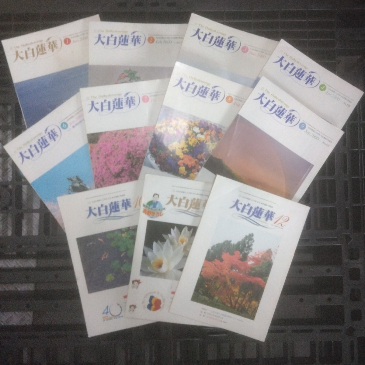 聖教新聞社 大白蓮華 2000年/平成12年 1-4、6~12月号 No.595~606 11冊セット 機関誌 池田大作 創価学会 仏教 宗教 古書/古本拍卖