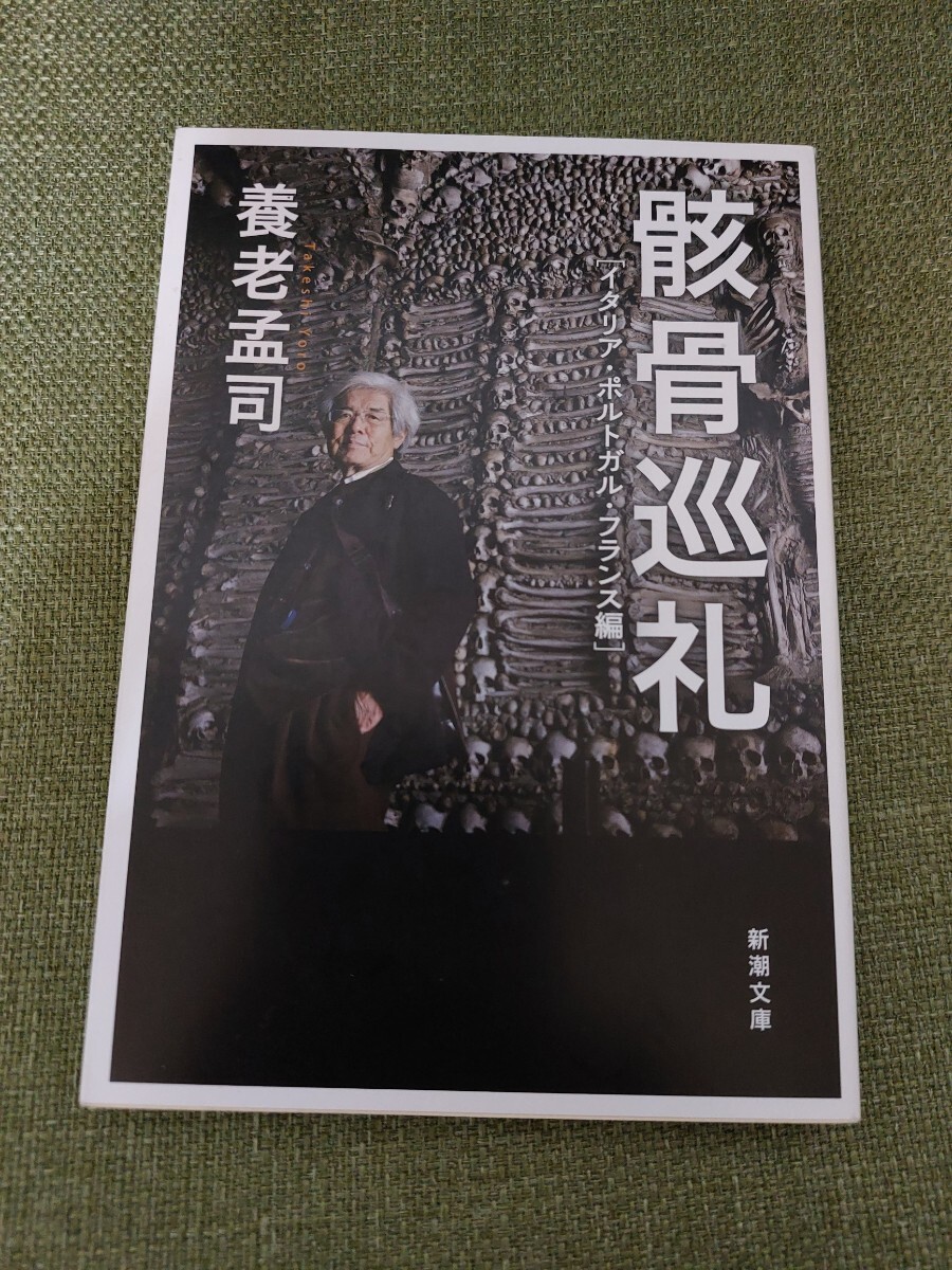 骸骨巡礼 イタリア、ポルトガル、フランス編 養老孟司 文庫本拍卖