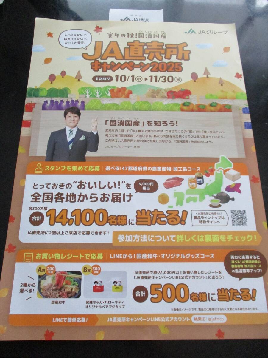 懸賞 応募 JA 国産和牛 ハローキティ オリジナル ペア マグカップ 当たる レシート リーフレット拍卖