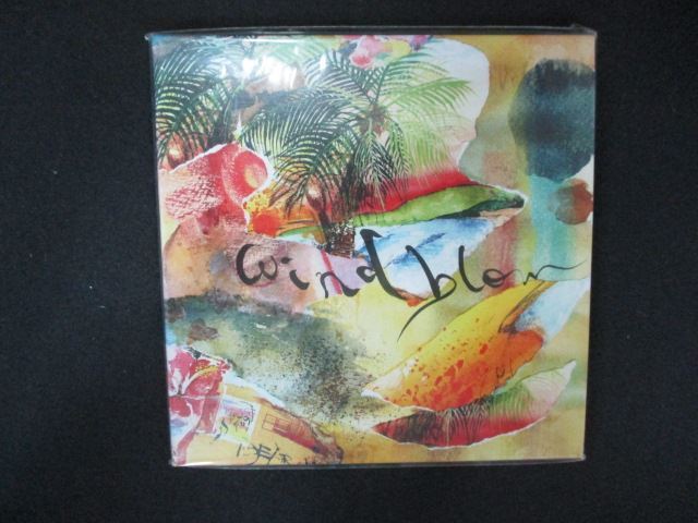 2063☆未開封CD WINDBLOW/Spinna B-Ill ※ワケ有拍卖