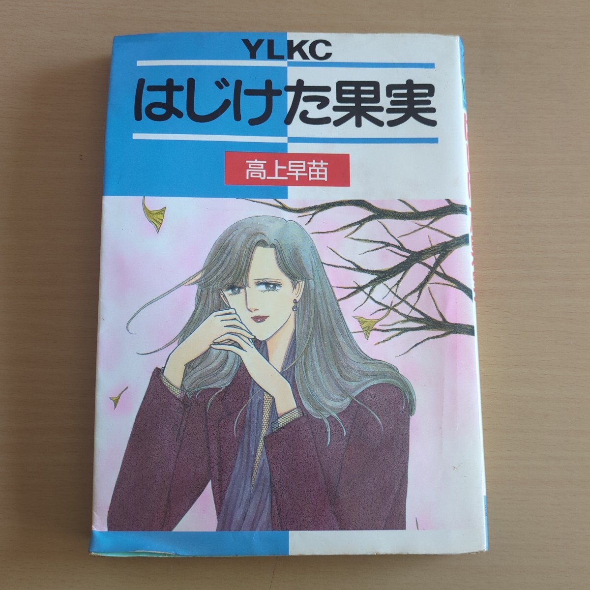 はじけた果実 高上早苗 初版 昭和60年 講談社 ヤングレディ拍卖