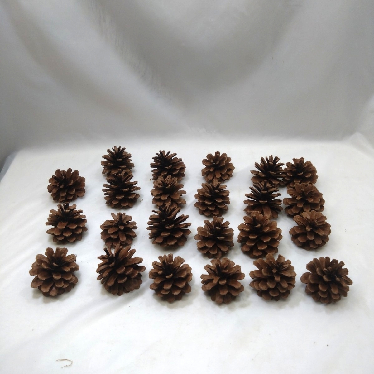 松ぼっくり 23個 自然素材 リース アレンジメント クリスマス お正月 数年乾燥品拍卖