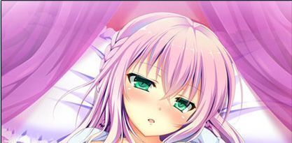 未来戦姫 スレイブニル ソフマップ特典 B2タペストリー /にの子/未開封拍卖