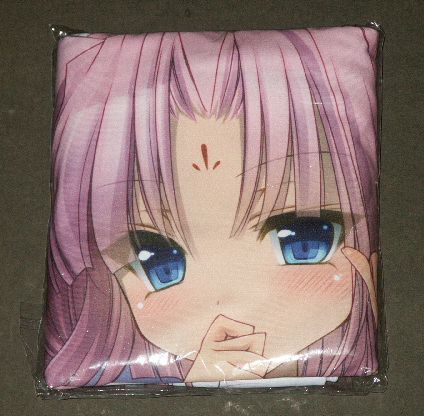 C83 Web恋姫†夢想 孫権 抱き枕カバー/恋姫†無双/雪路時愛拍卖