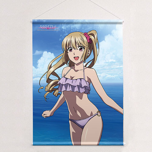 カーテン魂 ストライク・ザ・ブラッド 藍羽浅葱/水着 B2タペストリー /未開封拍卖