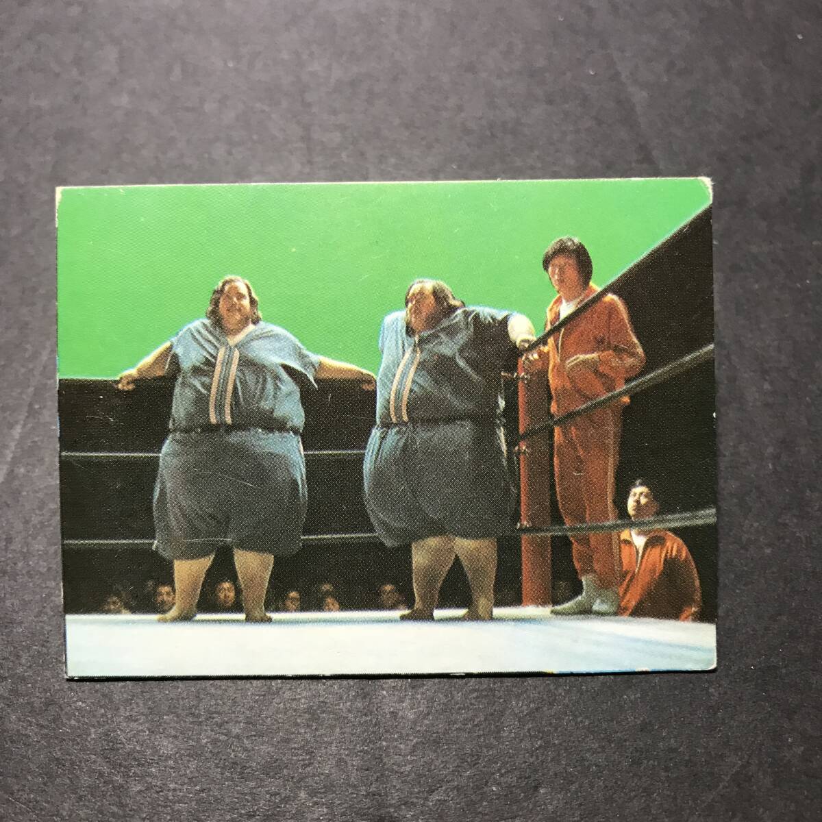 ★昭和当時物! 山勝 ミニカード 新日本プロレス 13番 マクガイヤー兄弟 駄菓子屋 昭和 レトロ -FKI80拍卖