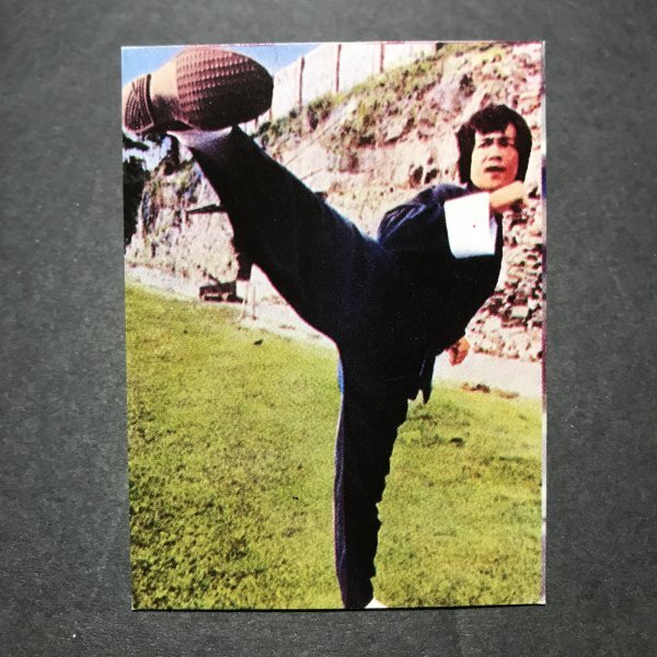 ★昭和当時物! 山勝 ミニカード ブルース・リー 11番 李小龍 TOWA ブルースリー ドラゴン 駄菓子屋 昭和 レトロ AAA42拍卖