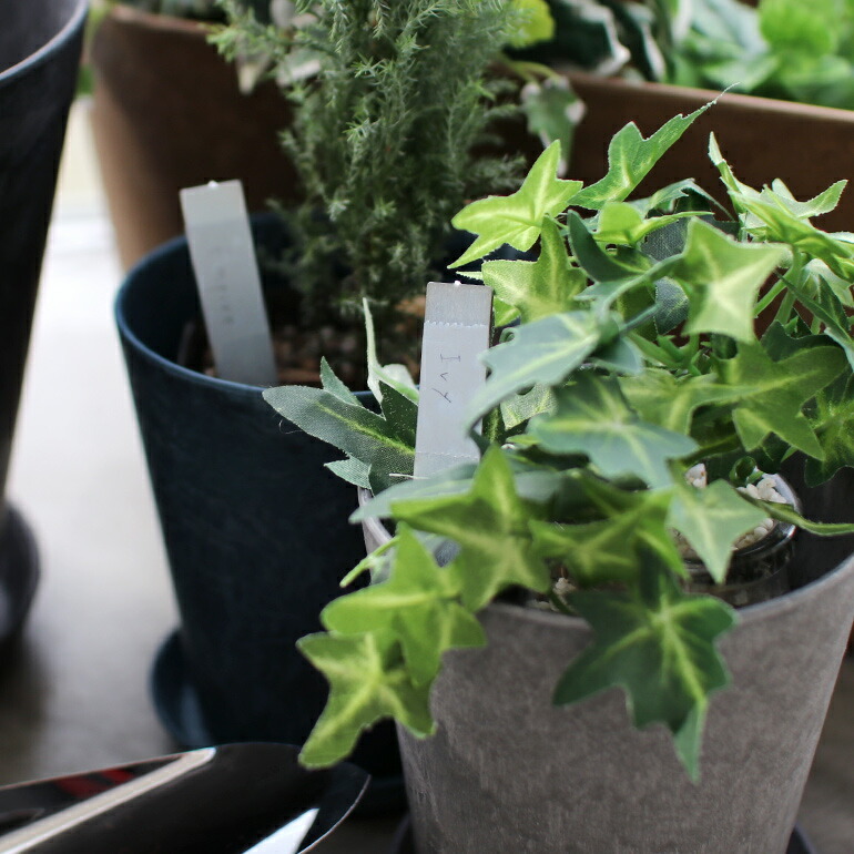 プランツマーカー 植物ラベル ネームラベル 6本入り 鉄 ガーデニング 園芸 菜園 SIKAKU シカク PLANTS MARKER S 6pcs拍卖