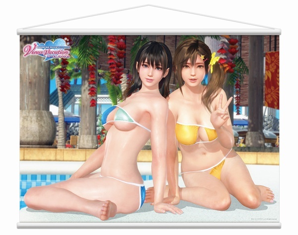 デッドオアアライブ DEAD OR ALIVE Xtreme Venus Vacation C100 特大タペストリー ななみ みさき 新品未開封拍卖