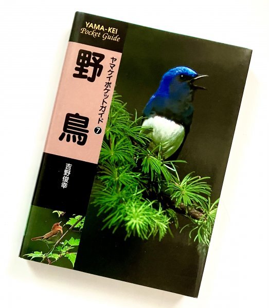 山と渓谷社文庫 1999年初版2刷 ヤマケイポケットガイド7 野鳥 吉野俊幸 山の鳥 F拍卖