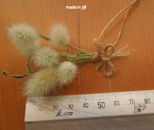 ドライフラワー ラグラス ミニスワッグ 拍卖