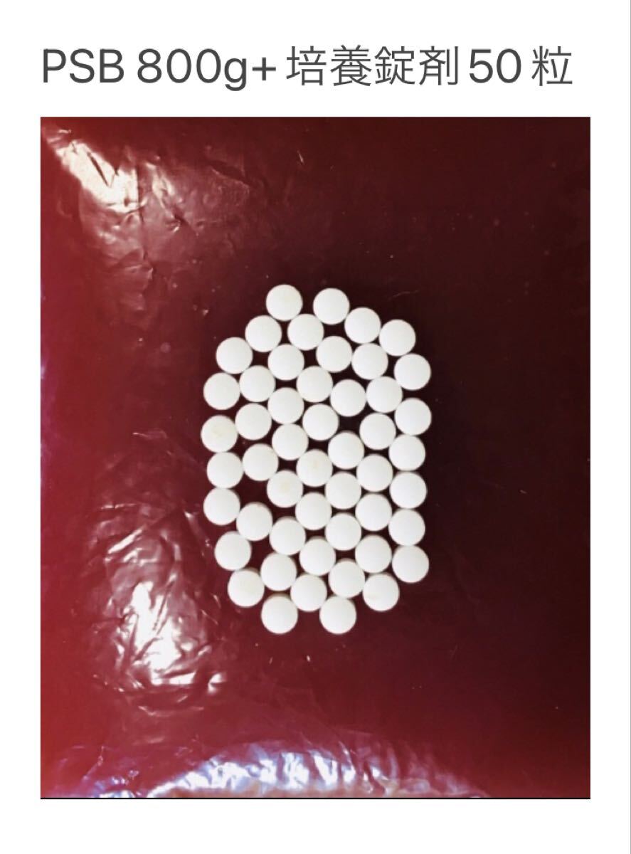 光合成細菌 PSB 800グラム 培養錠剤 50個拍卖