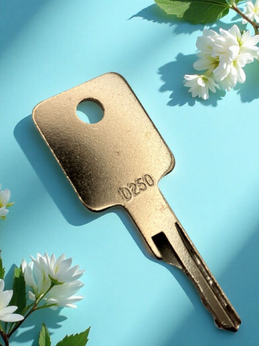 社外品 ボブキャット D250 スペアキー 鍵 カギ 重機 キー拍卖