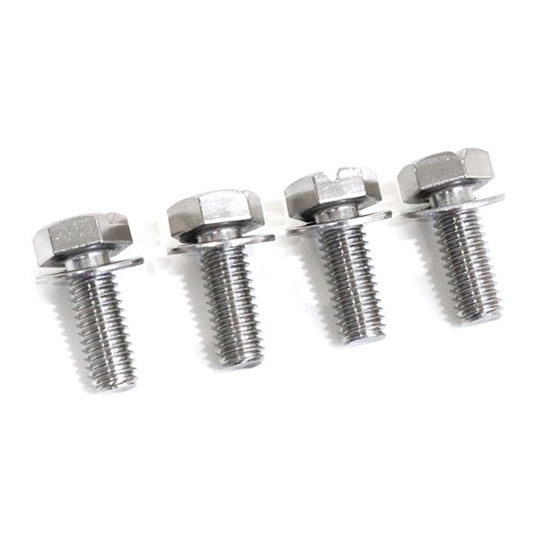 ナンバープレート ステンレス ナンバーボルト + - フランジボルト 封印 封緘 普通車 軽 大型 ナンバーフレーム取付 4本拍卖