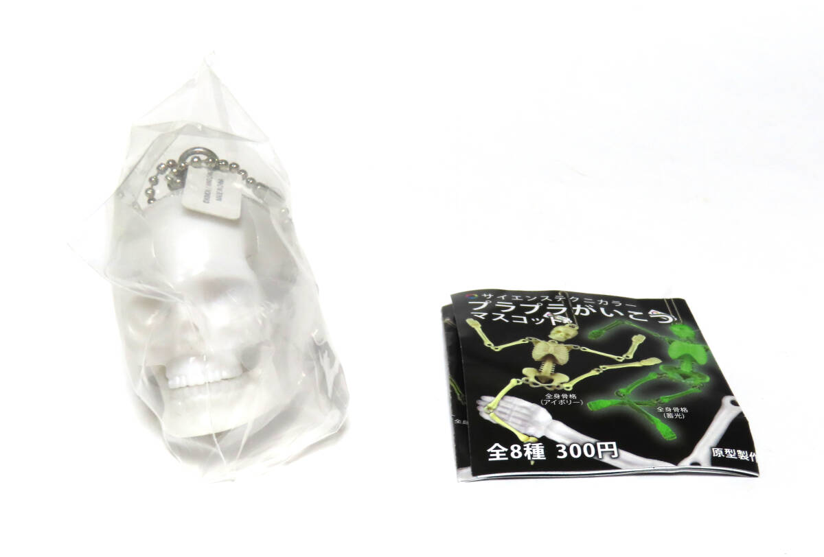 未使用・新品 プラプラがいこつ マスコット 頭蓋骨(白)いきもん ガチャ フィギュア サイエンステクニカラー 髑髏 ドクロ拍卖