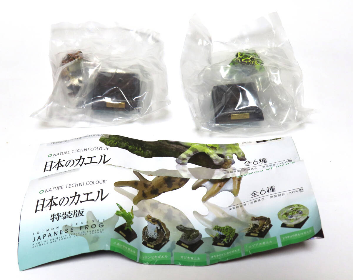 未開封・新品 2種セット 日本のカエル 特装版 オキナワイシカワガエル + エゾアカガエル ガチャ いきもん ネイチャーテクニカラー 拍卖