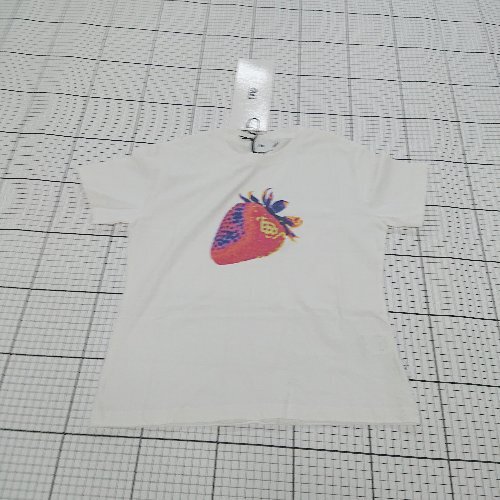 ◇ ⊂ 未使用 FTW タグ付き 半袖 ストロベリーサーモグラフ Tシャツ サイズL オフホワイト レディース E 1509300004514拍卖