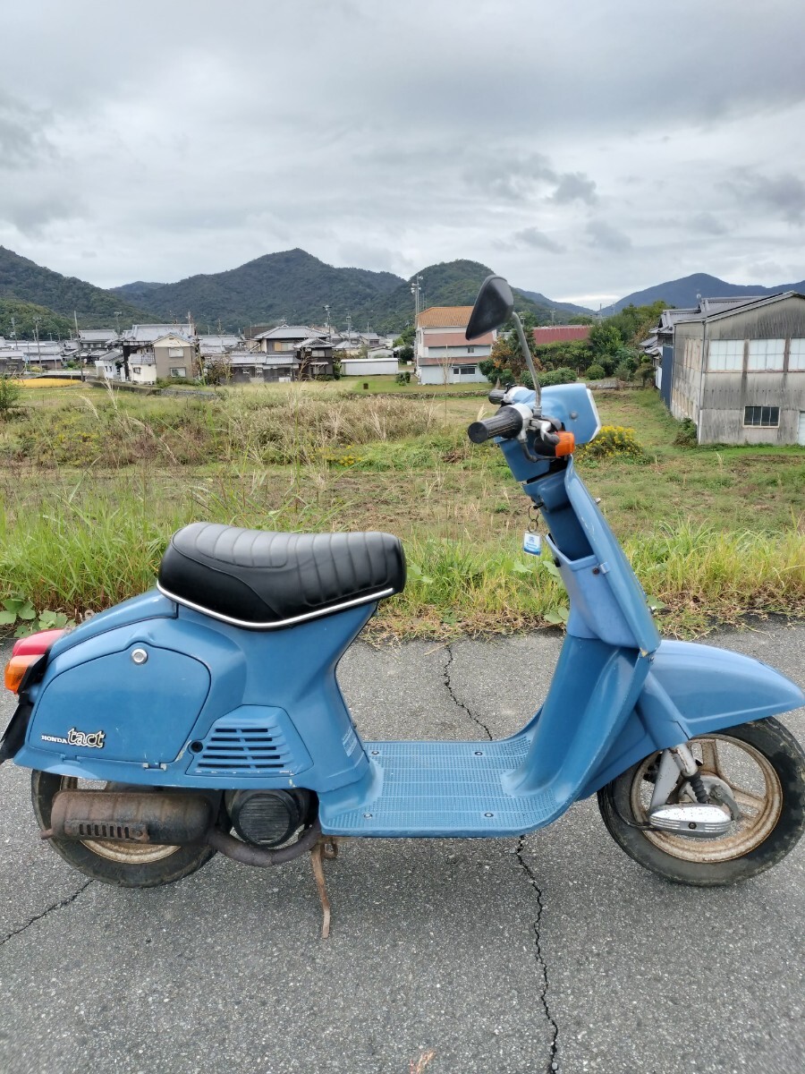 HONDA タクトフルマーク タクト拍卖