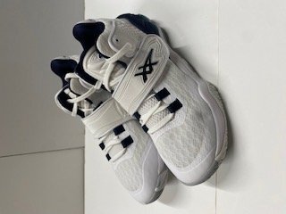 【未使用】アシックス インベイドノヴァ 24.5㎝ 1061A029-102 バスケットボールシューズ拍卖