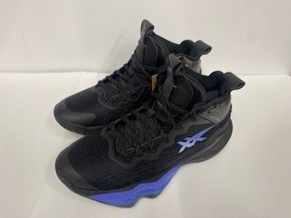 【未使用】アシックス  ノヴァサージ 2 1061A040-004 28.0cm バスケットボールシューズ拍卖