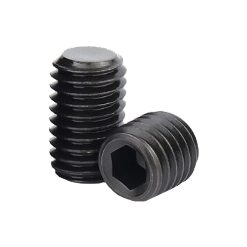 M2.5 x 0.45 長さ 5.5mm 20個入 スチール 平先 六角穴付き止めねじ拍卖