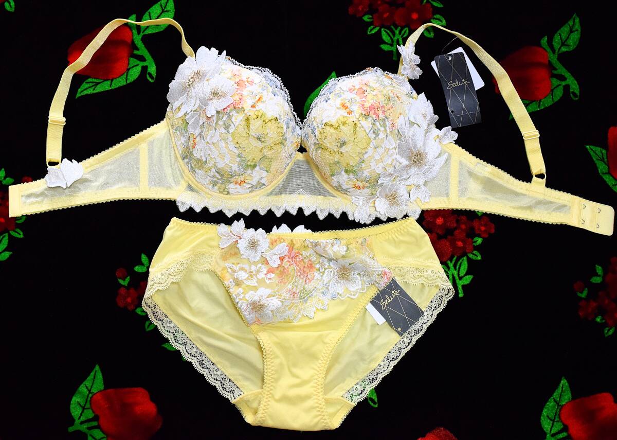 新品・タグ付き☆ワコール☆サルート☆01G・青春コメディ☆YE☆F75&ショーツL拍卖