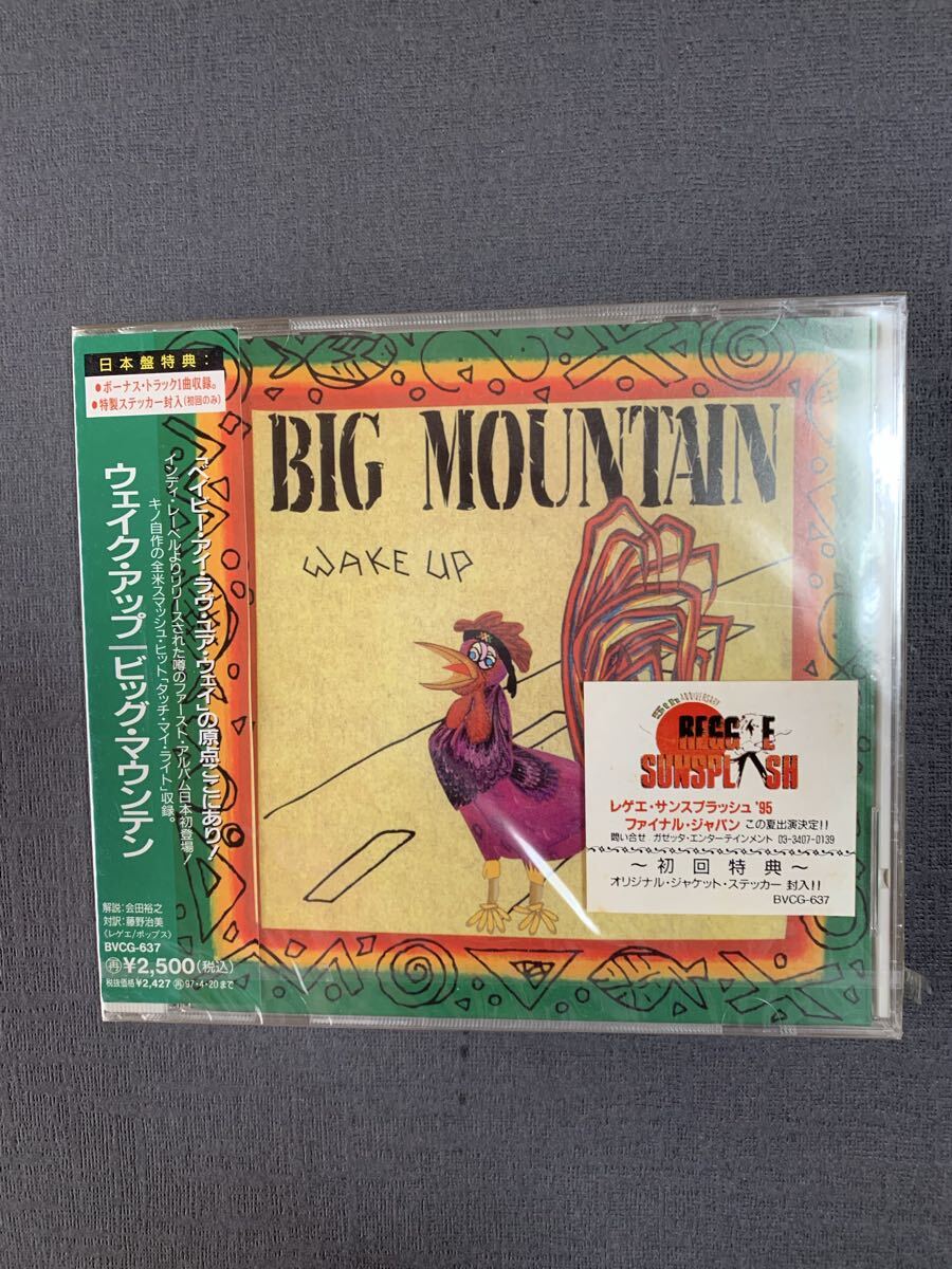 (見本盤)(新品未開封) BIG MOUNTAIN/wake up ビッグ マウンテン 初回盤ステッカー封入拍卖
