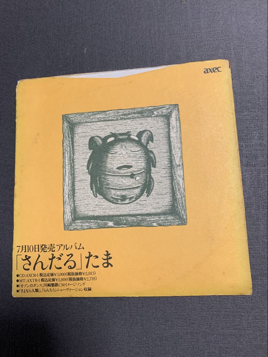 (店頭演奏用プロモ盤) たま/さんだる拍卖