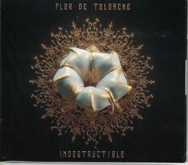 CD◆FLOR DE TOLOACHE フロール・デ・トロアーチェ(マリアッチ)/ インデストルクティブレ 日本盤★同梱歓迎!INDESTRUCTIBLE:ラテン拍卖