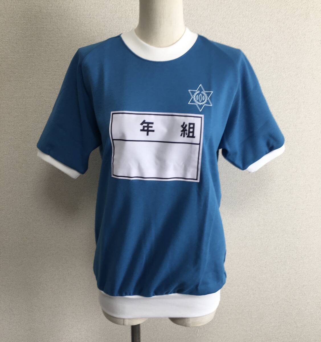 最後の1点A01小学校指定体操服・レアなカラー体操服・デカゼッケン体育着・サイズL拍卖