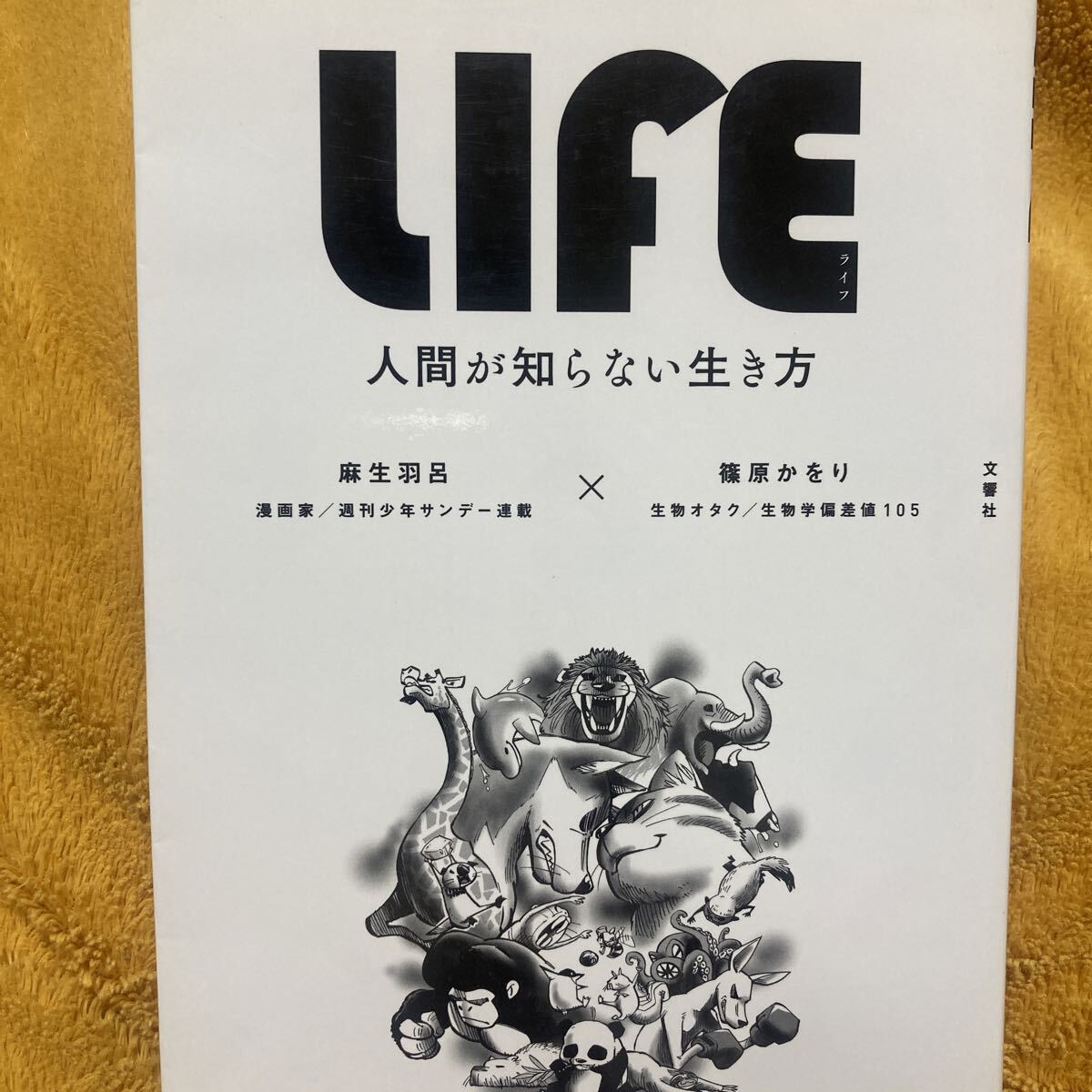 LIFE 人間が知らない生き方 ☆麻生羽呂☆篠原かをり☆定価1430円♪拍卖