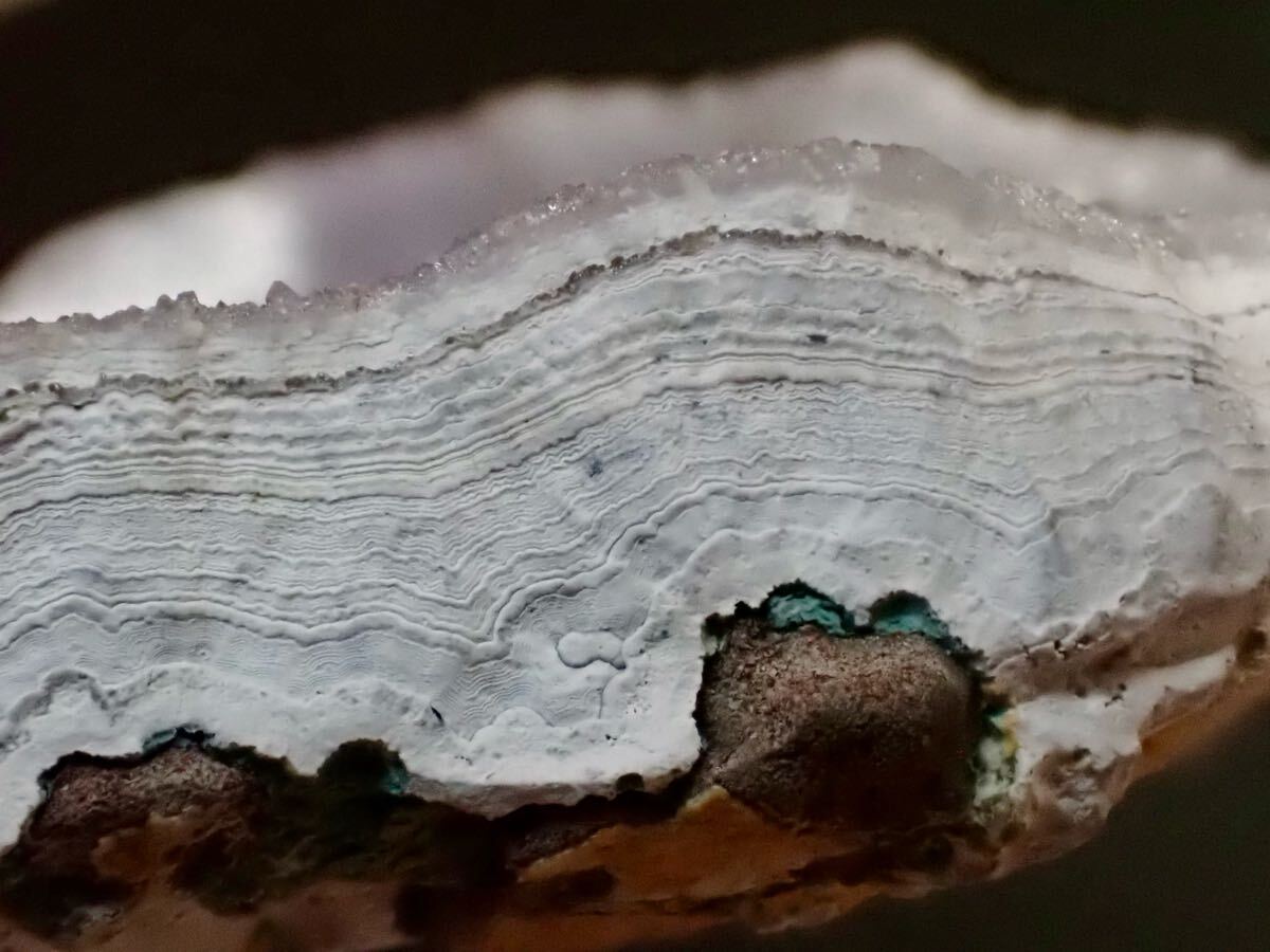 ブラジル産 アメジスト アメシスト 紫水晶 原石 標本拍卖