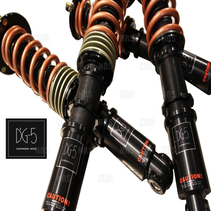 DG-5 ディージーファイブ サスペンションキット 車高調 スカイラインGT-R R32/BNR32 (DG5-221拍卖