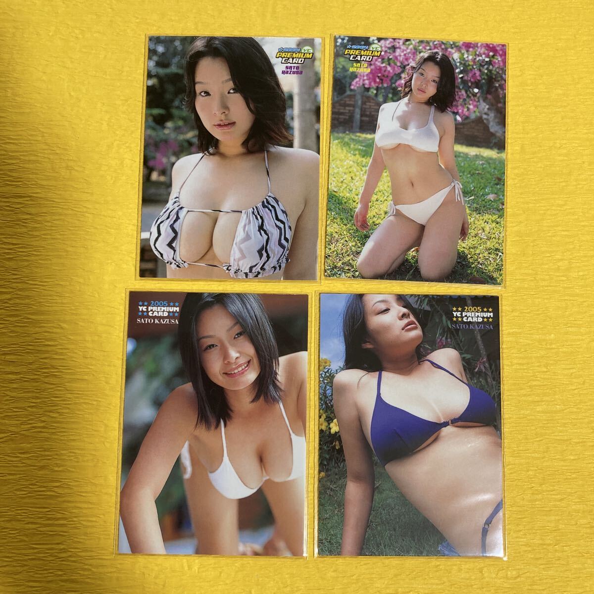 n6408 ヤングチャンピオン トレーディングカード『佐藤和沙』4枚セット 拍卖