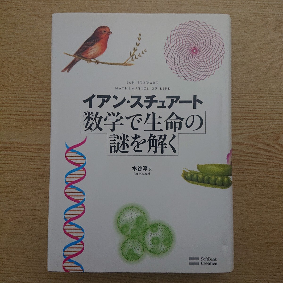 数学で生命の謎を解く イアン・スチュアート/著 水谷淳/訳拍卖