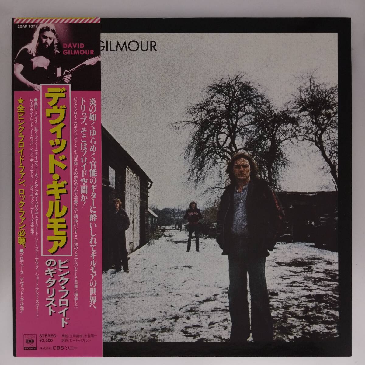 ◆LP◆帯付◆デヴィッド・ギルモア◆David Gilmour【ピンク・フロイド】◆Art Rock, Prog Rock◆プロモ盤 白ラベル◆P-5405拍卖